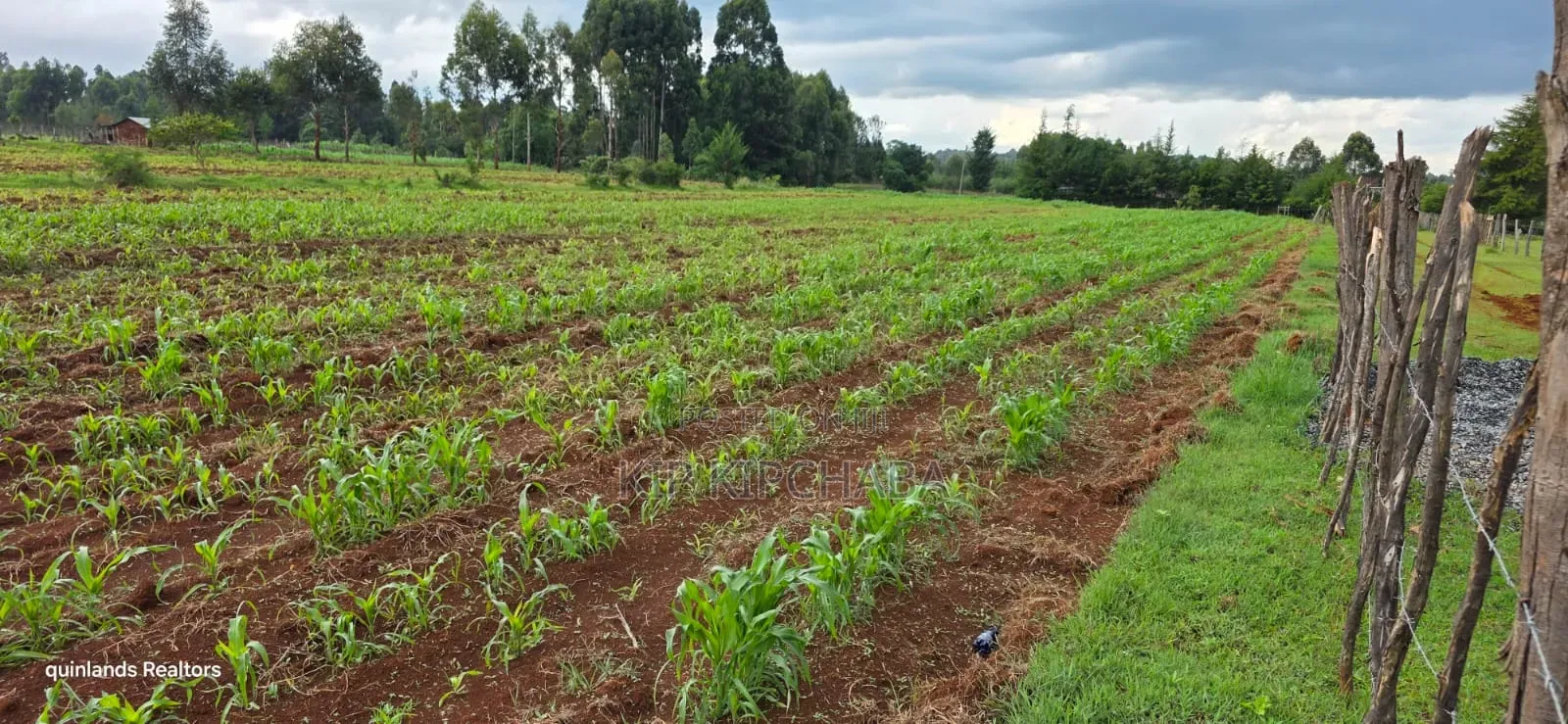 3 Acres Up for Sale in Eldoret Kapseret in St George's in Wareng