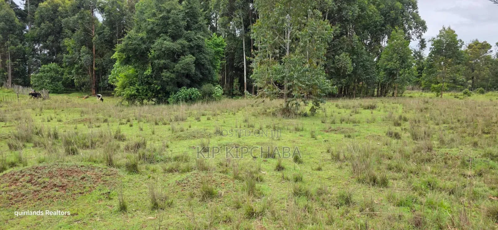 3 Acres Up for Sale in Eldoret Kapseret in St George's in Wareng