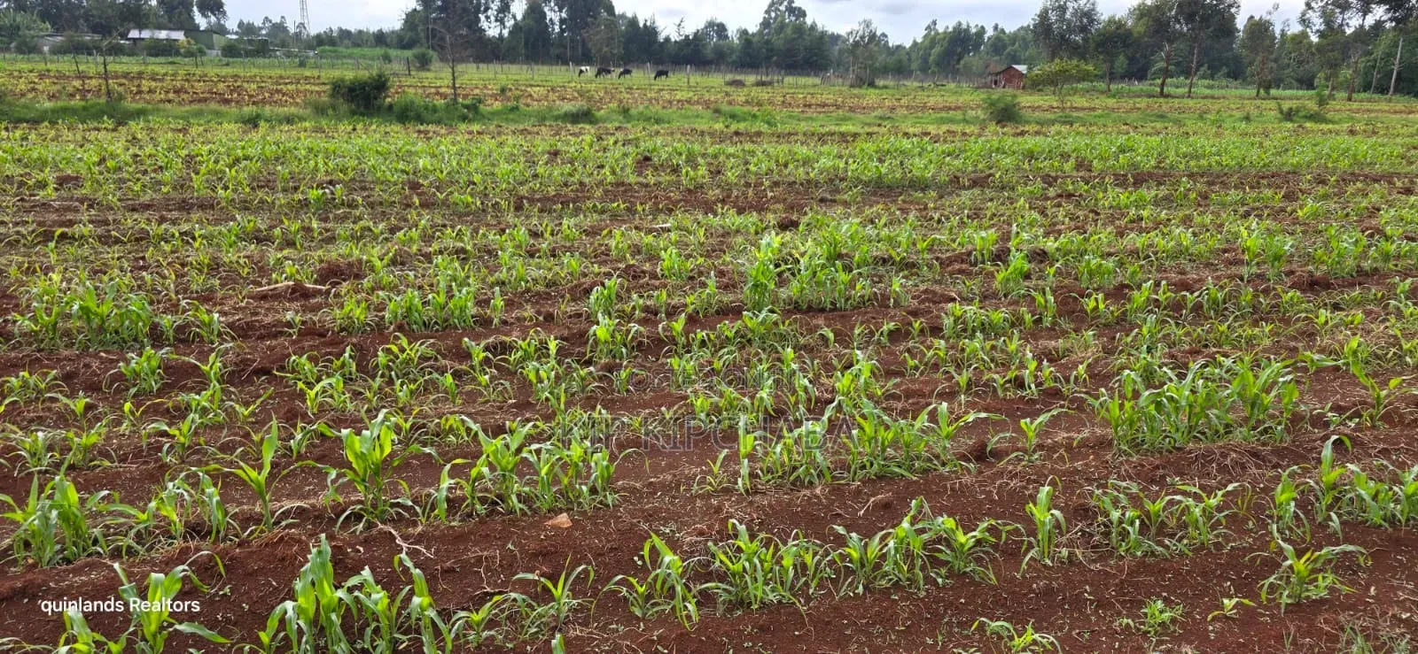 3 Acres Up for Sale in Eldoret Kapseret in St George's in Wareng