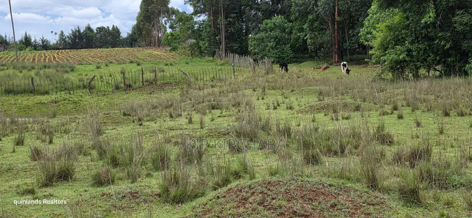 3 Acres Up for Sale in Eldoret Kapseret in St George's in Wareng