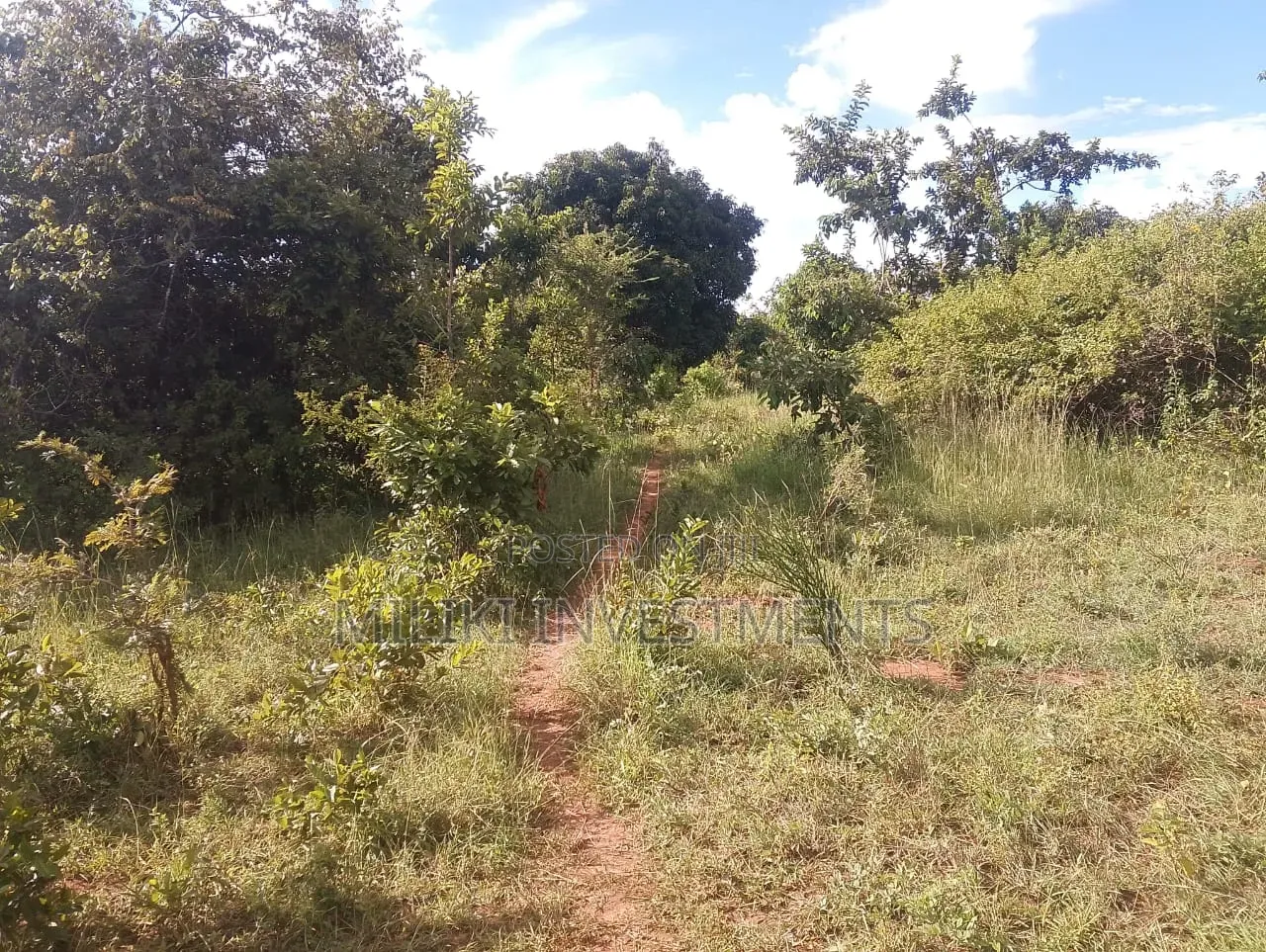 6 Acres on Sale at Makuyu -Mithiini in Makuyu