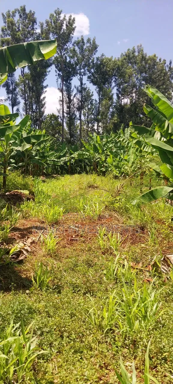3 Acres on Sale at Summary- Maragua in Kamahuha