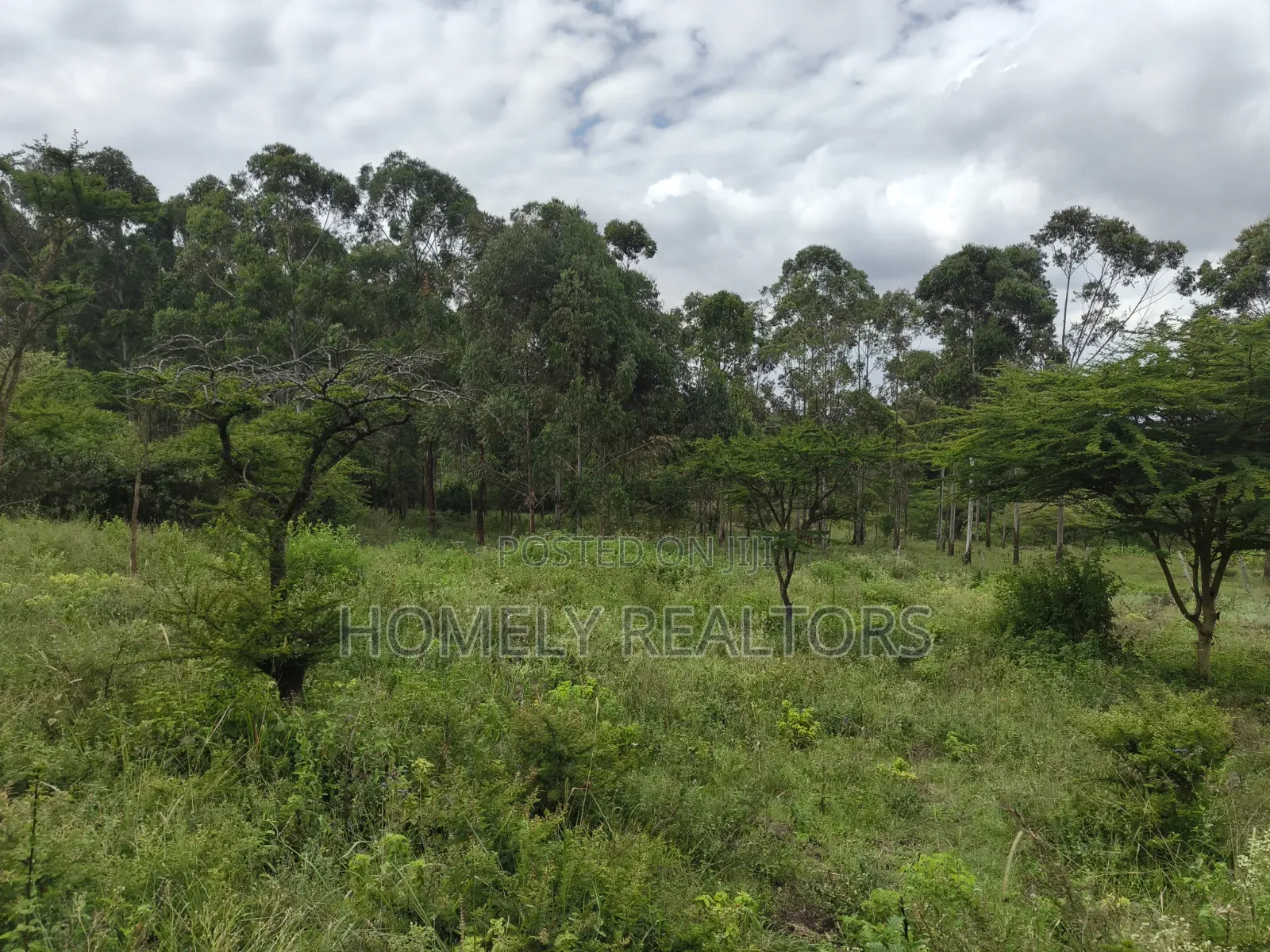 Quarter Acre Plot for Sale Near Merisho, in Matasia Ngong in Merisho
