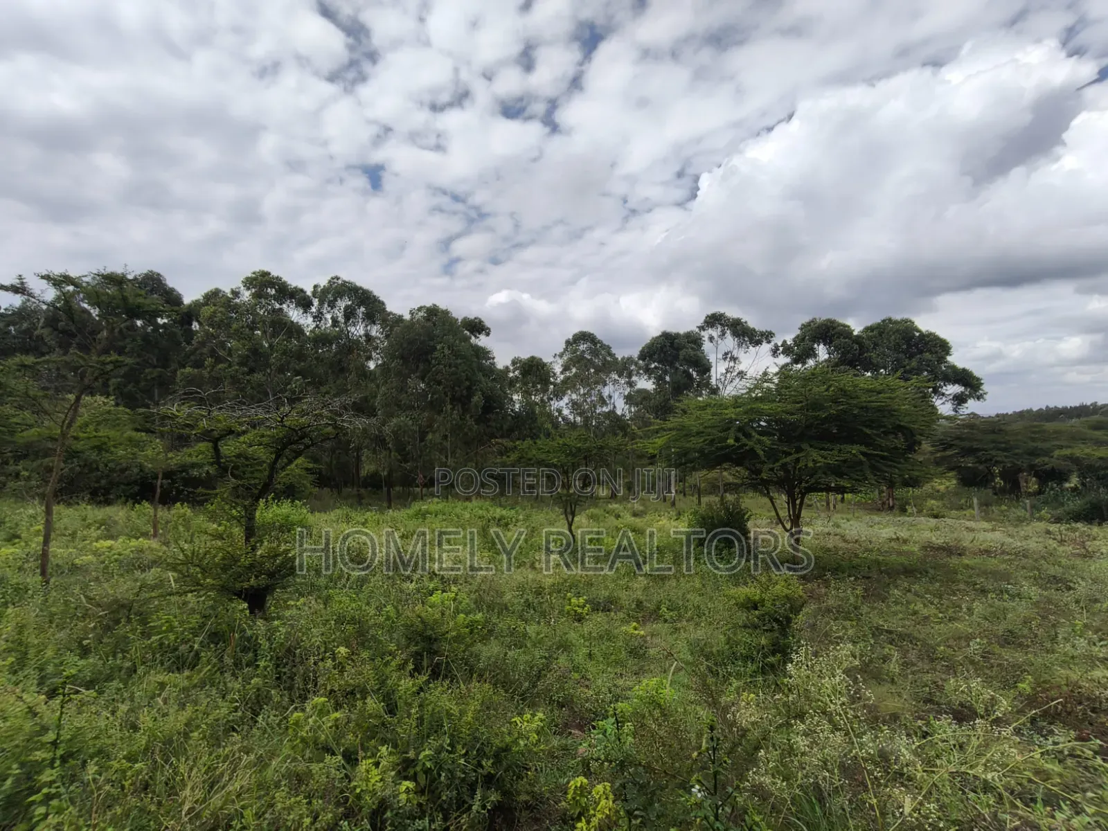 Quarter Acre Plot for Sale Near Merisho, in Matasia Ngong in Merisho