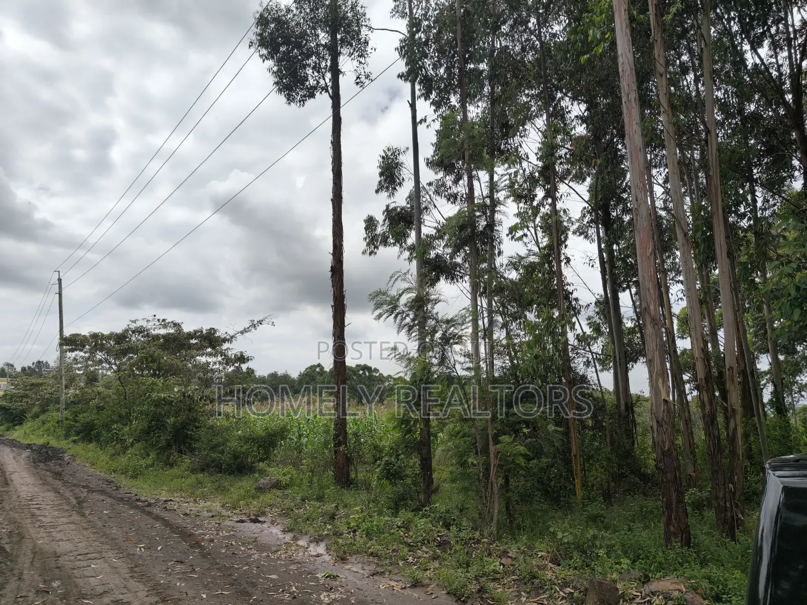 Prime 3.5 Acres of Land for Sale in Ngong, Matasia Near Merisho in Merisho