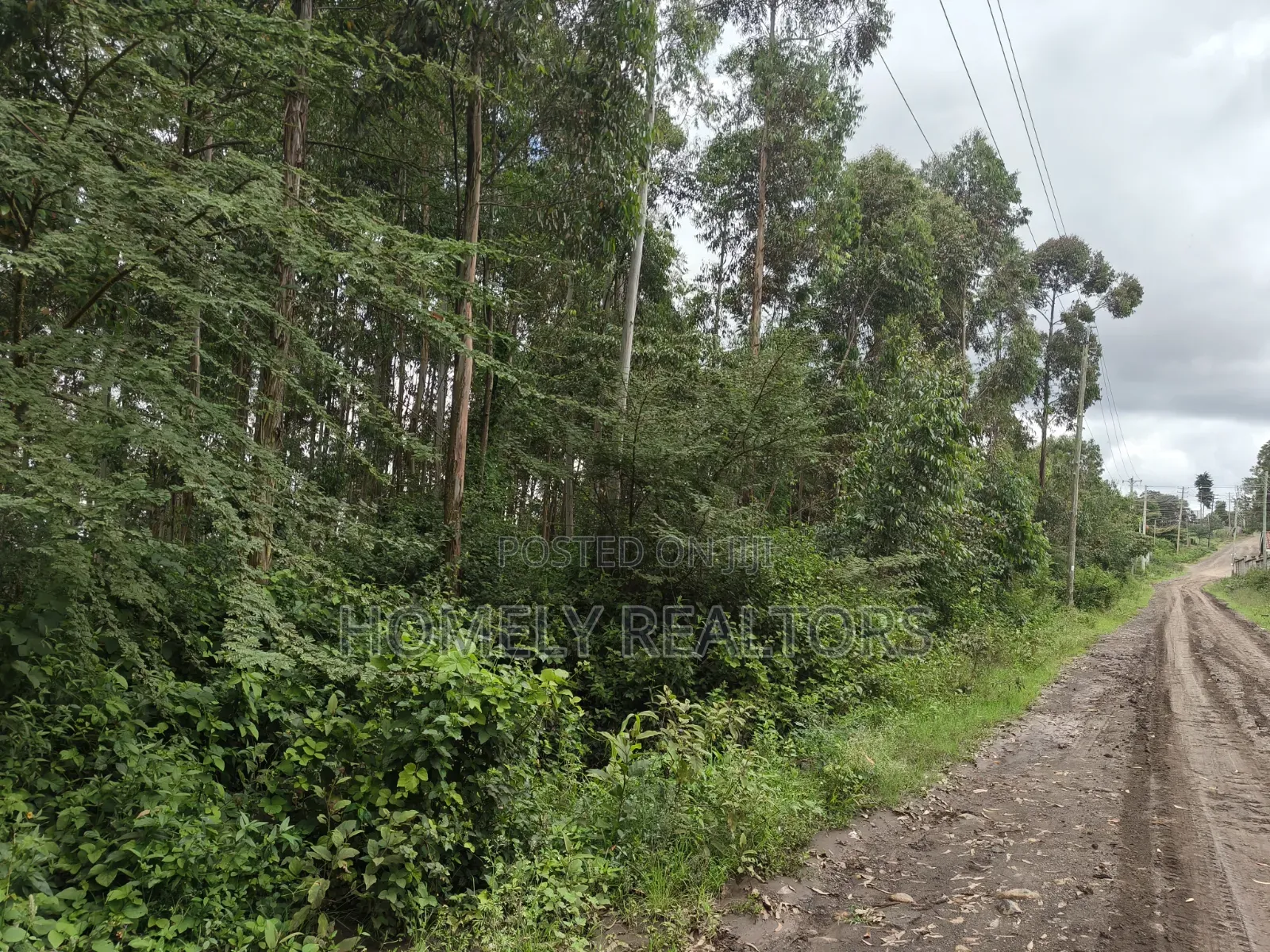 Prime 3.5 Acres of Land for Sale in Ngong, Matasia Near Merisho in Merisho