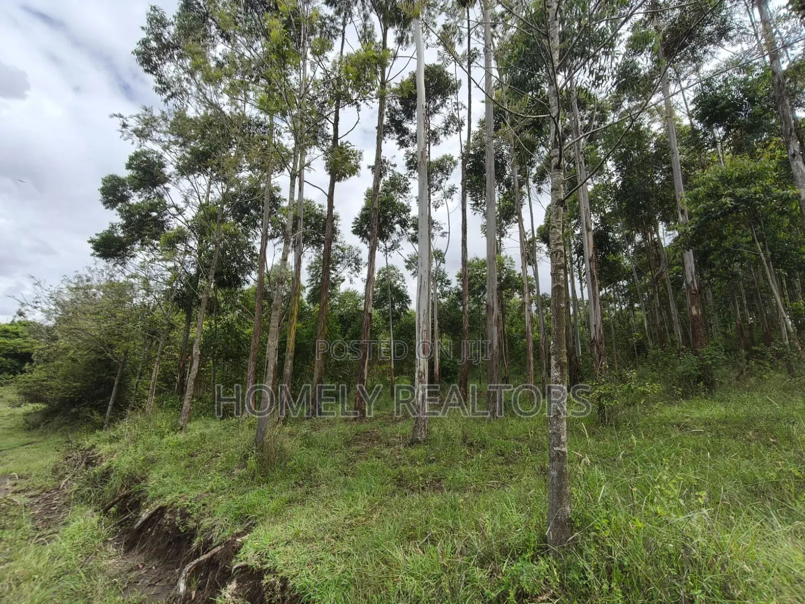 Prime 3.5 Acres of Land for Sale in Ngong, Matasia Near Merisho in Merisho