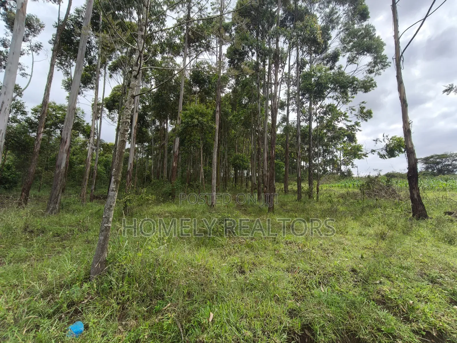Prime 3.5 Acres of Land for Sale in Ngong, Matasia Near Merisho in Merisho