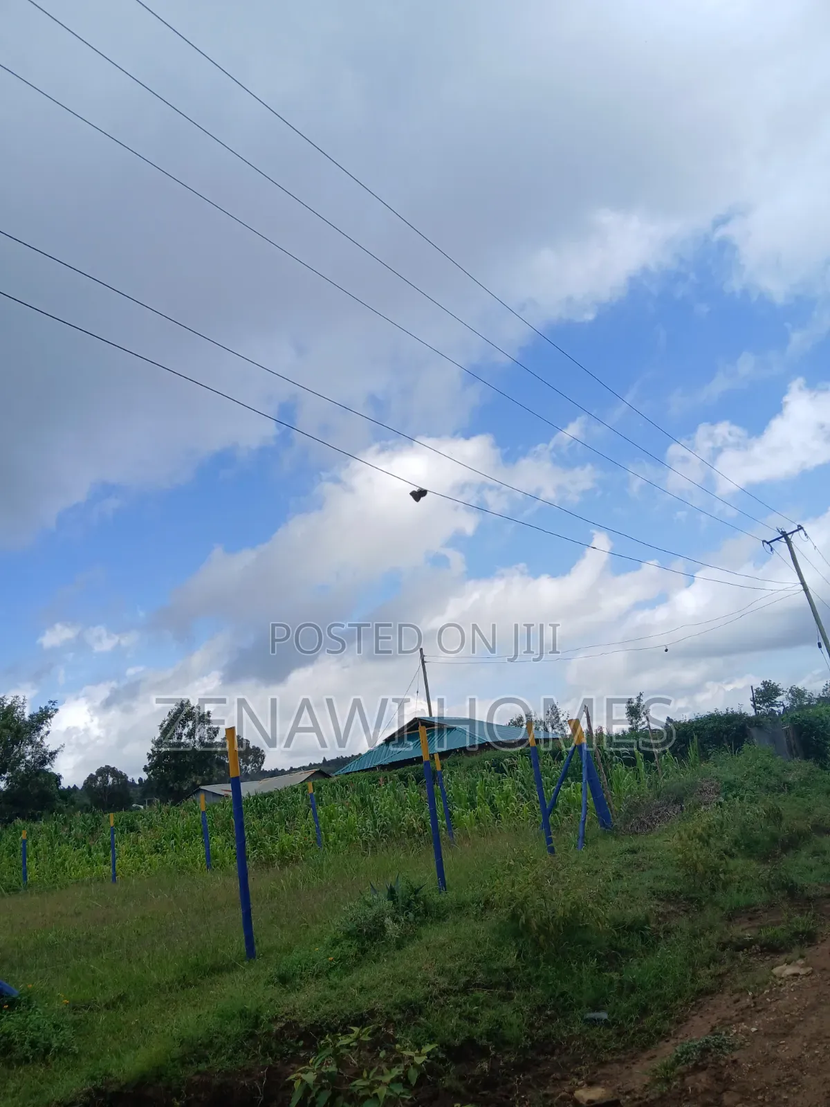 Kamangu Plots 1km Off Tarmac.Ckk in Thogoto