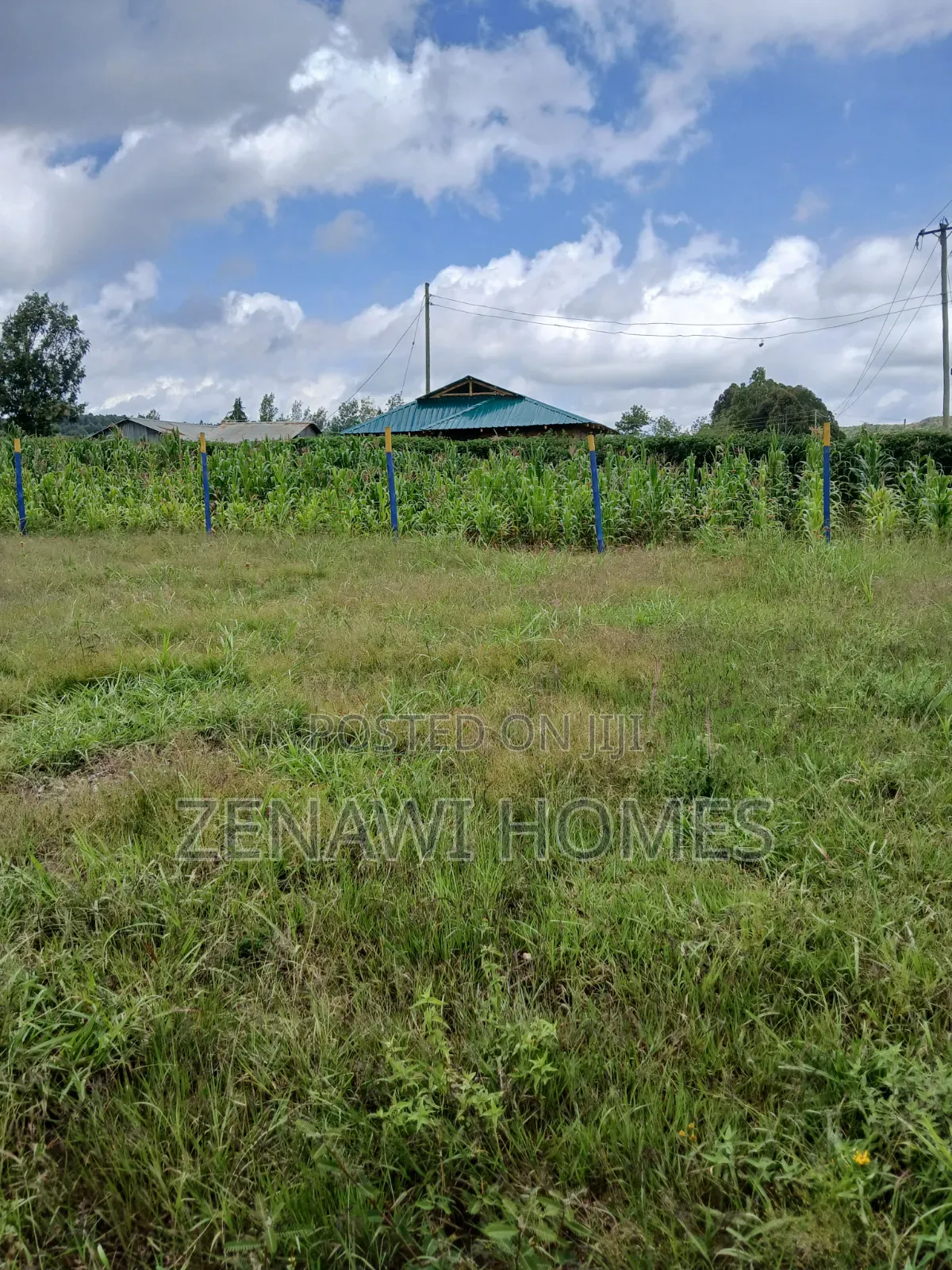 Kamangu Plots 1km Off Tarmac.Ckk in Thogoto