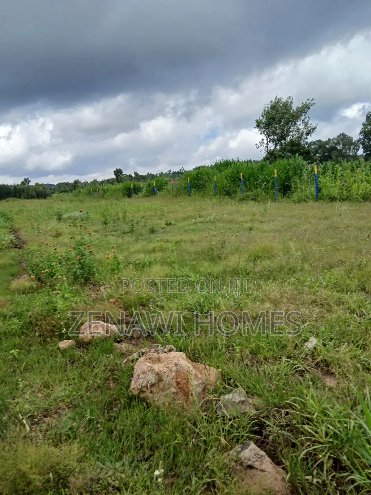 Kamangu Plots 1km Off Tarmac.Ckk in Thogoto