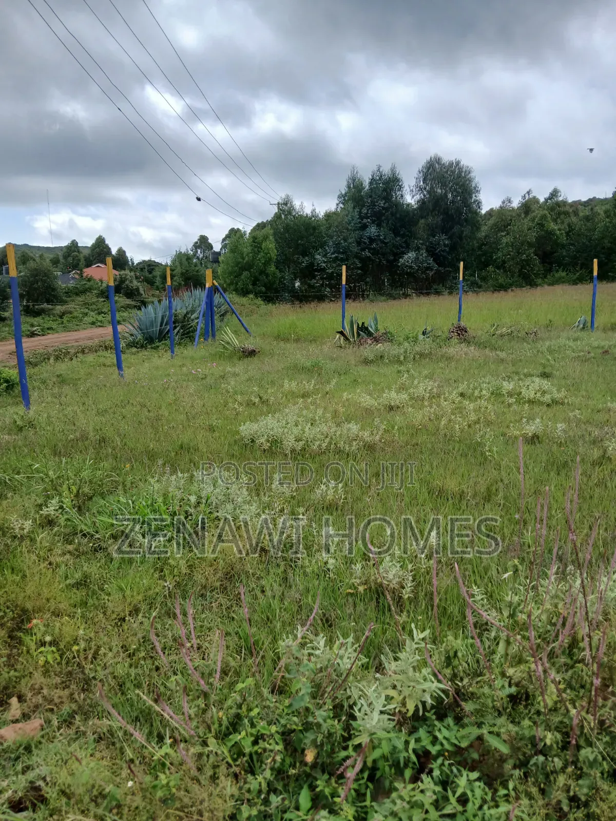 Kamangu Plots 1km Off Tarmac.Ckk in Thogoto