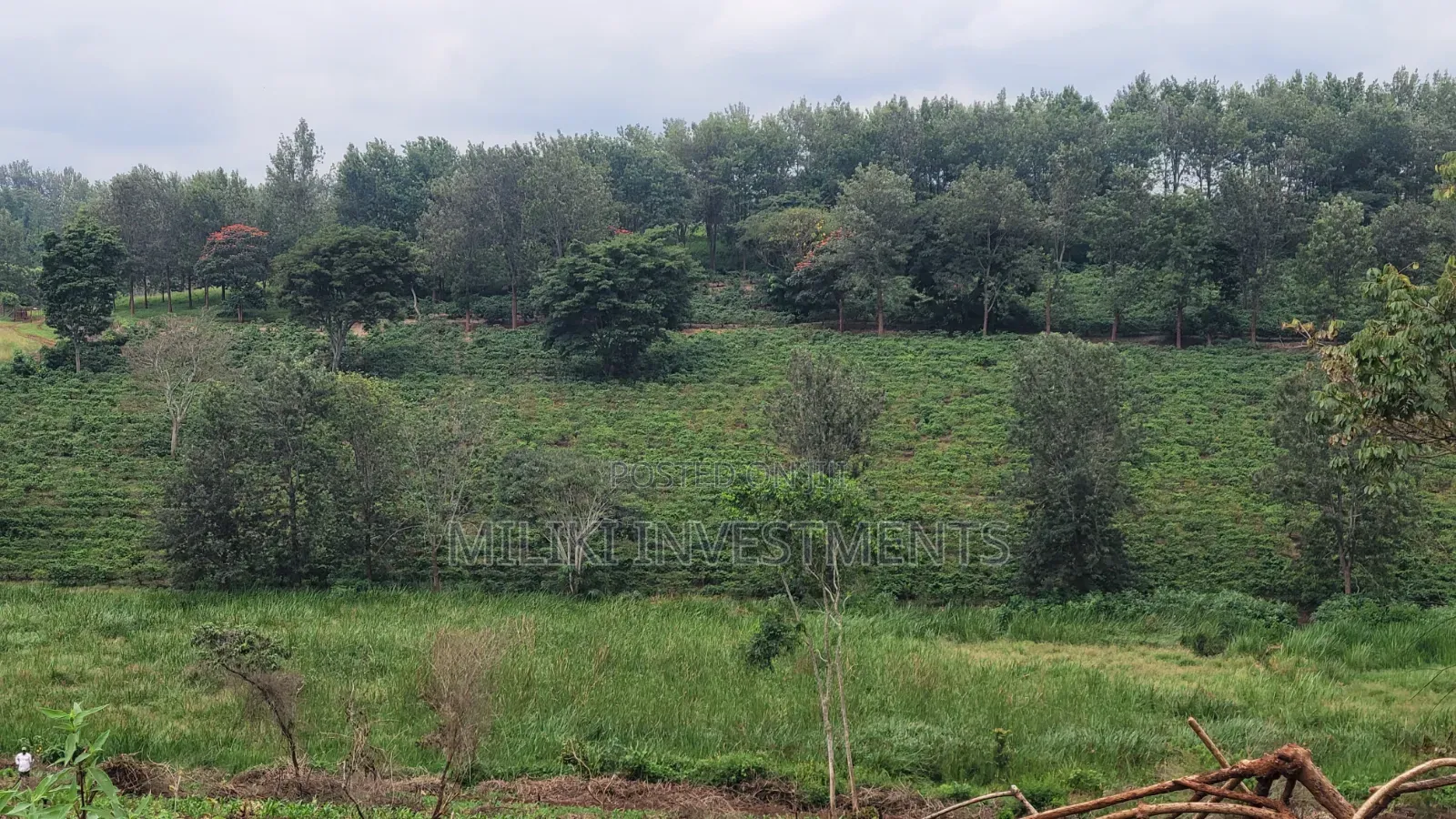 454 Acres on Sale at Gatanga in Gatanga