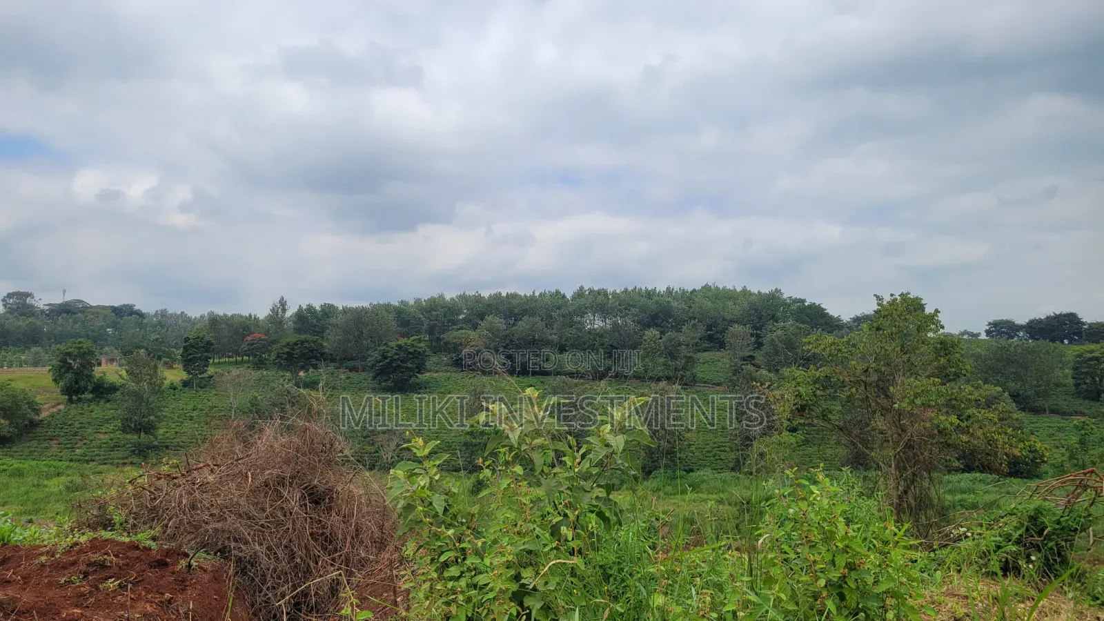 454 Acres on Sale at Gatanga in Gatanga