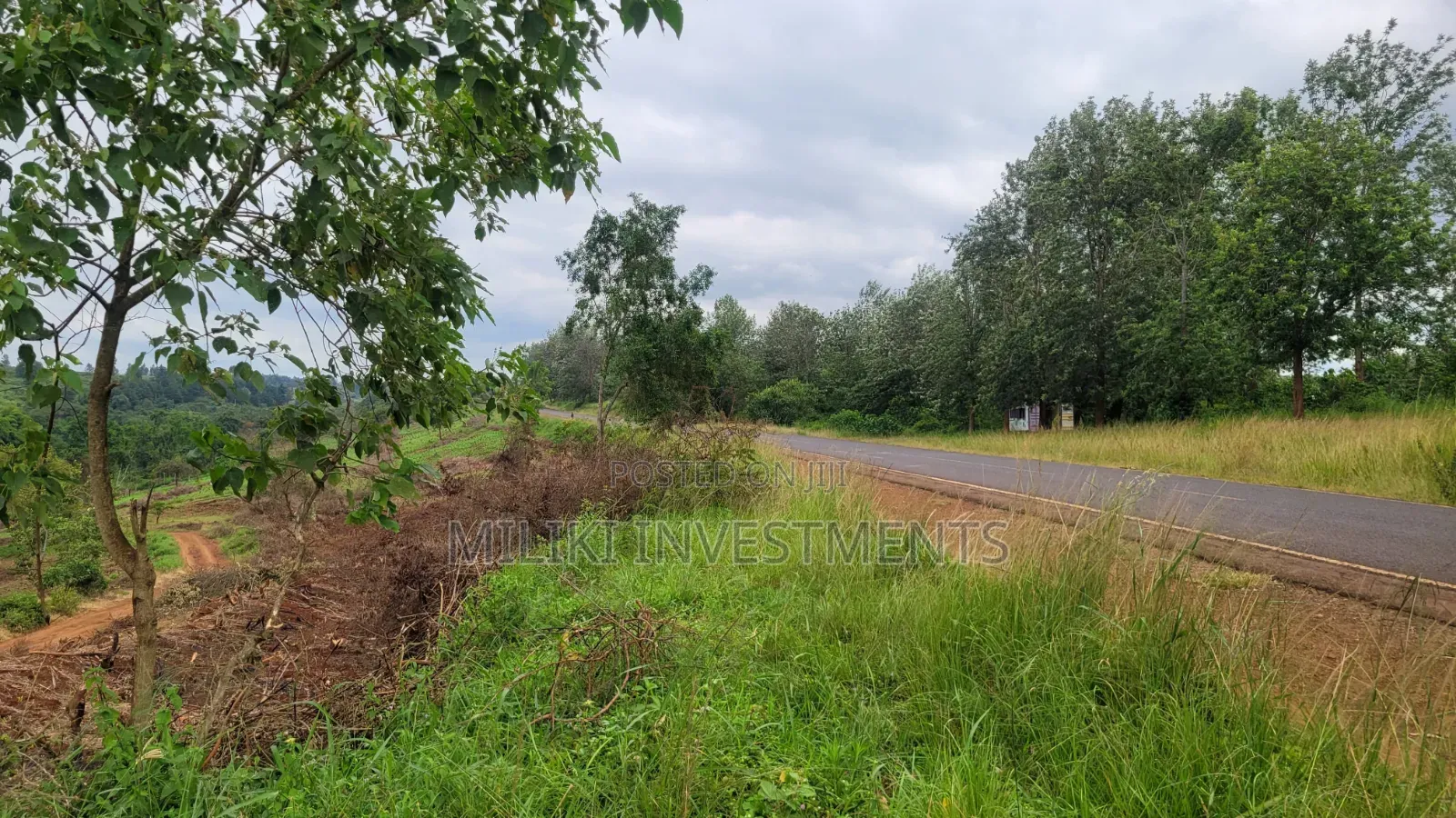 454 Acres on Sale at Gatanga in Gatanga