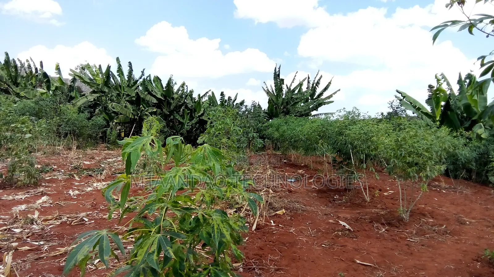 Croton Ridge Estate 1/8 Acre Plot for Sale in Kenyatta Road / Theta 