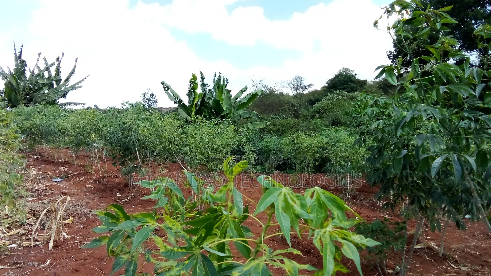 Croton Ridge Estate 1/8 Acre Plot for Sale in Kenyatta Road / Theta 