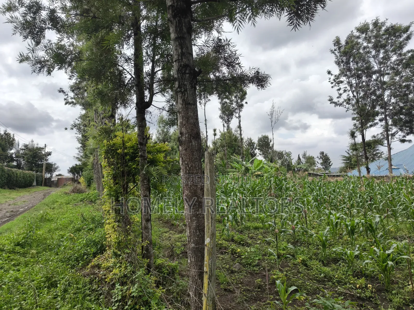 Quarter Acre Plot for Sale in Ngong Along Oloika Road in Matasia