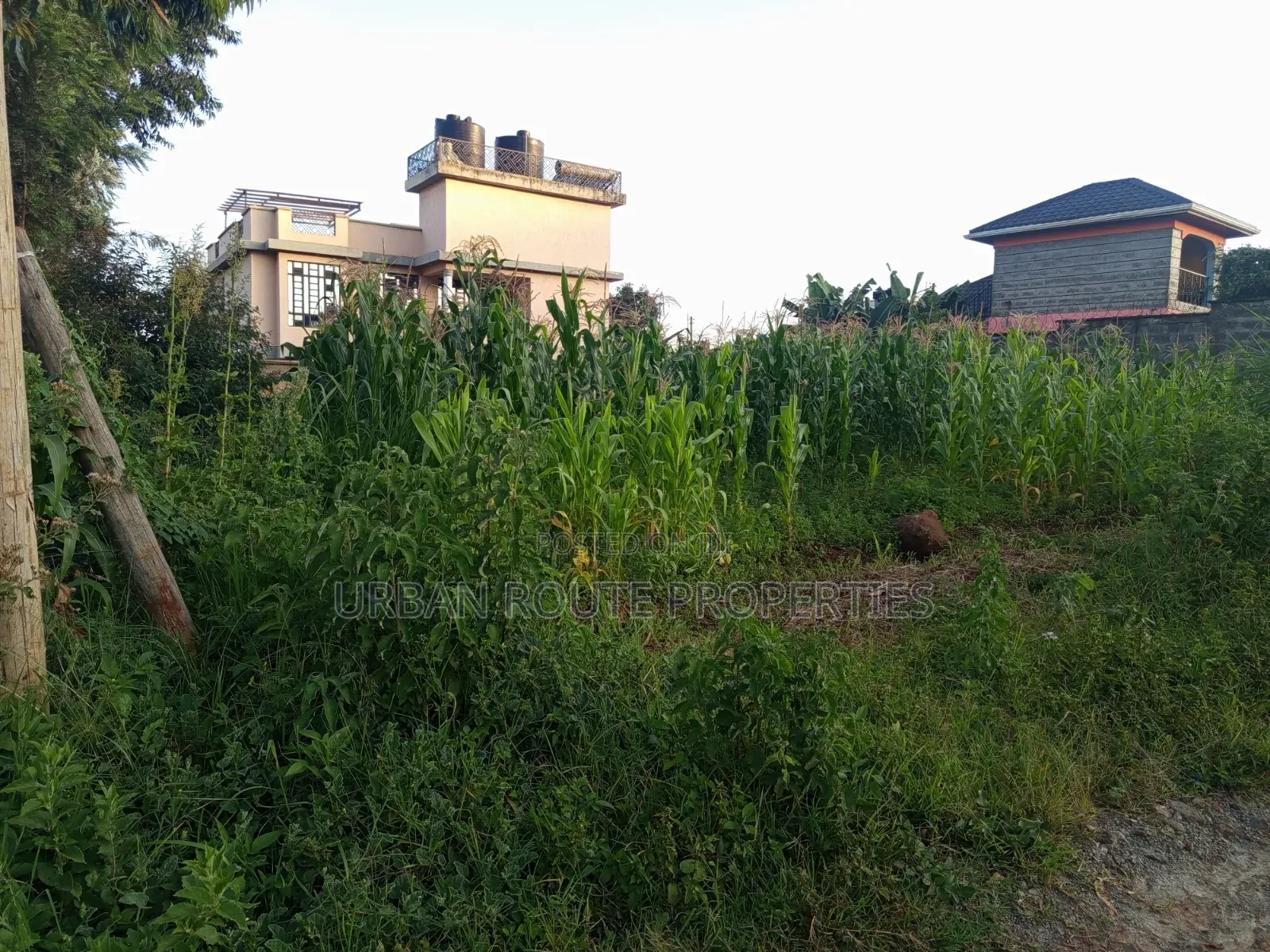 100*100 Plot in Gikambura in Thogoto
