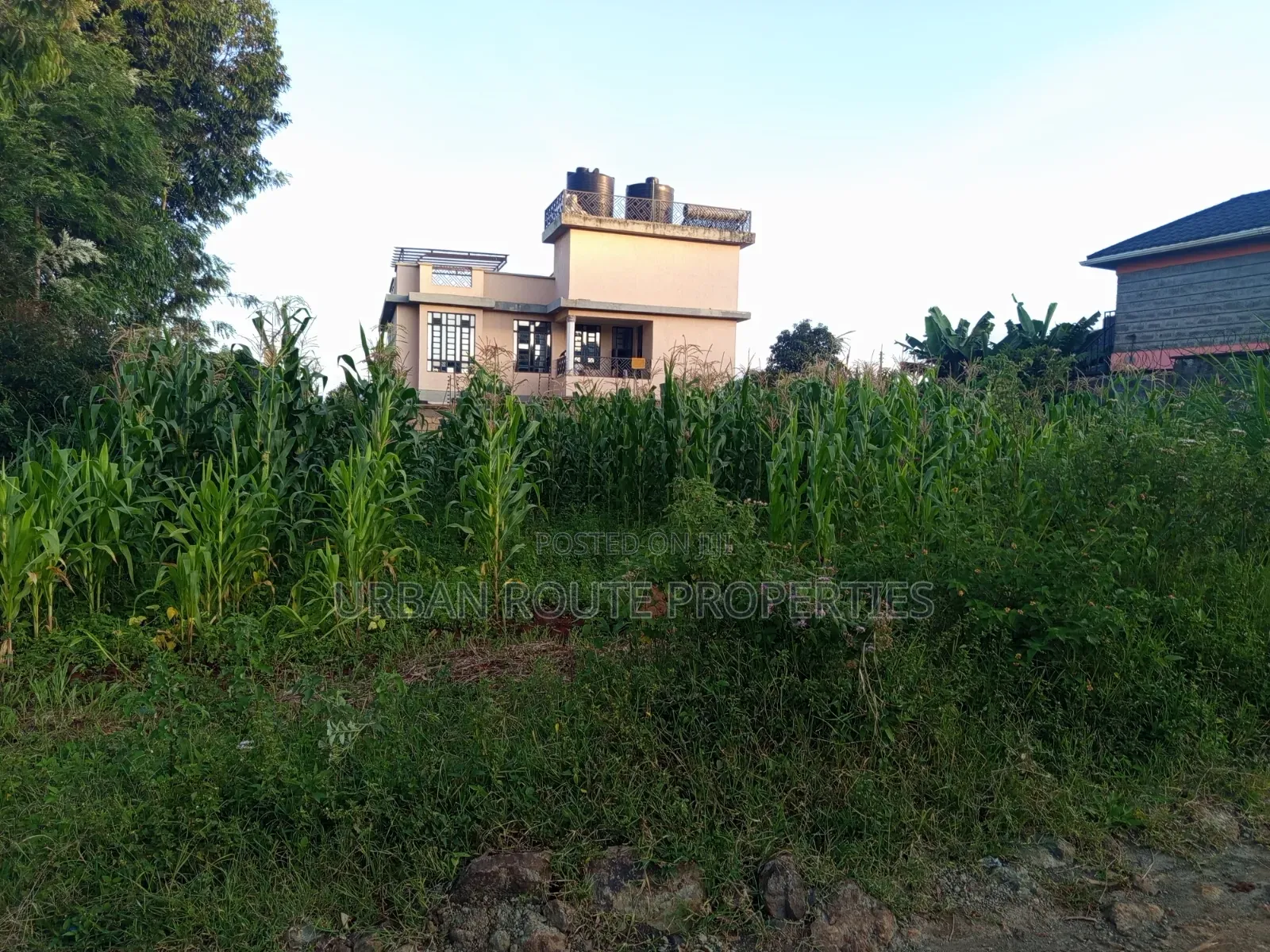 100*100 Plot in Gikambura in Thogoto