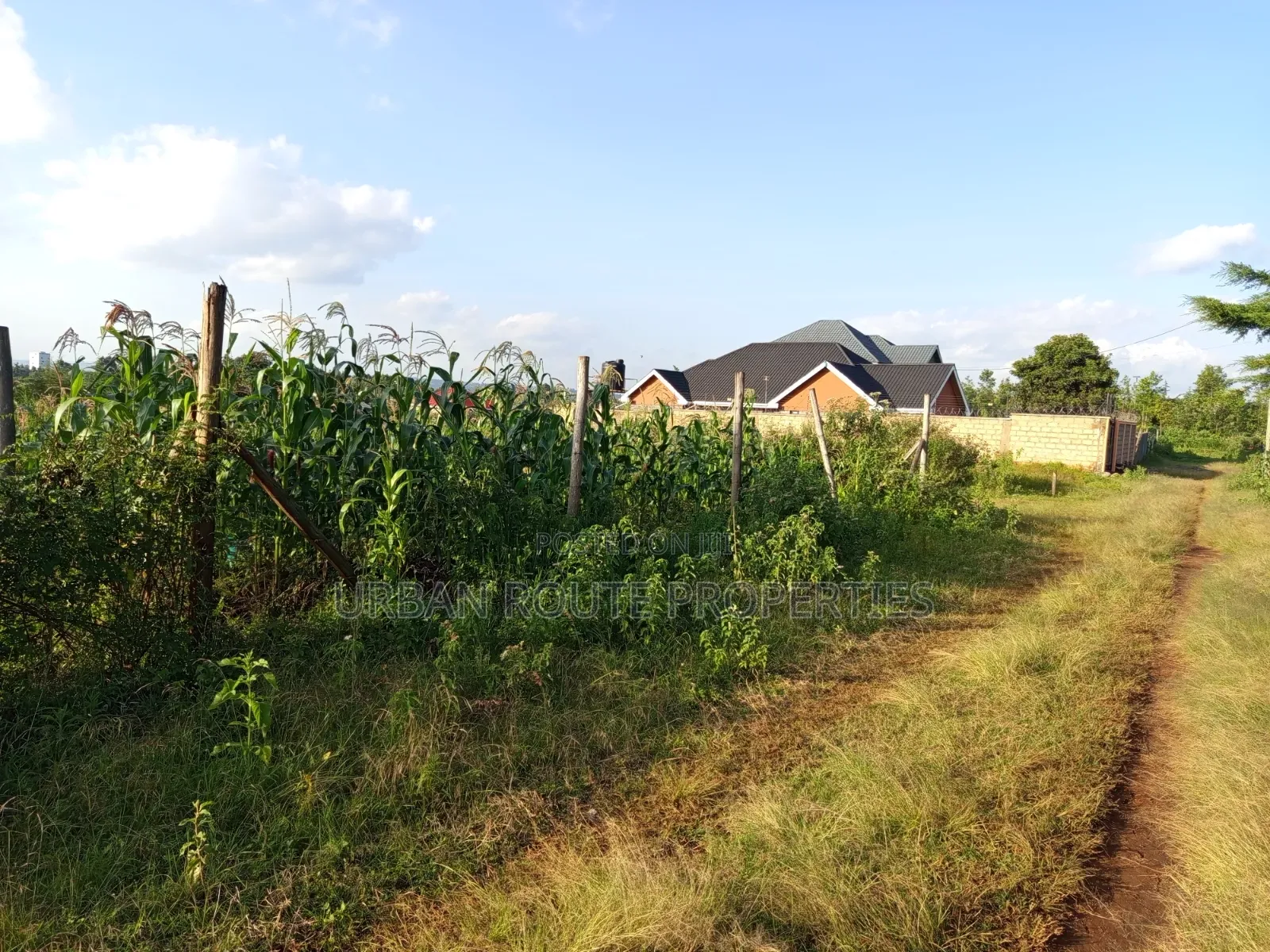 50*100 Plot in Kamangu in Thogoto