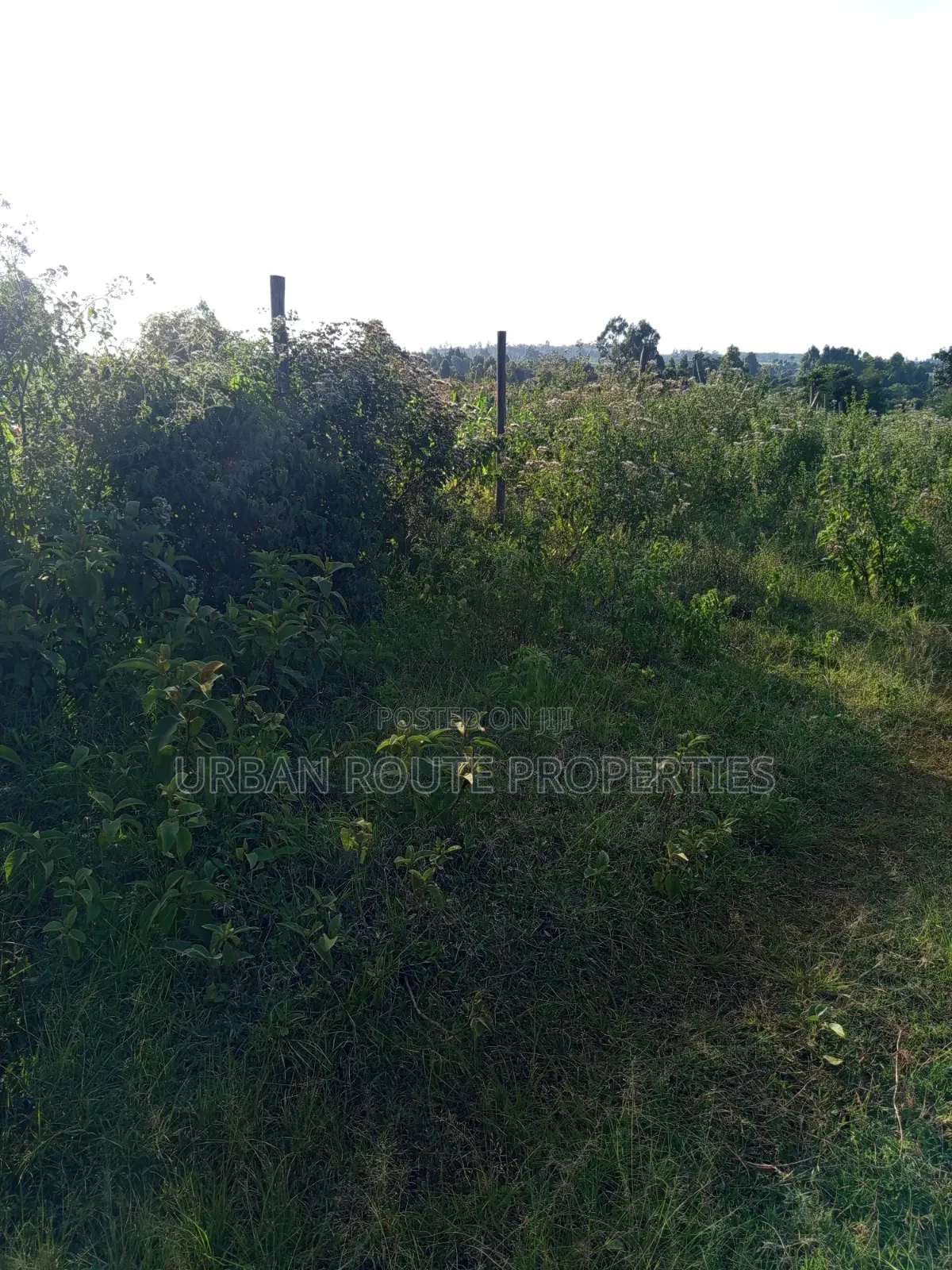 50*100 Plot in Kamangu in Thogoto