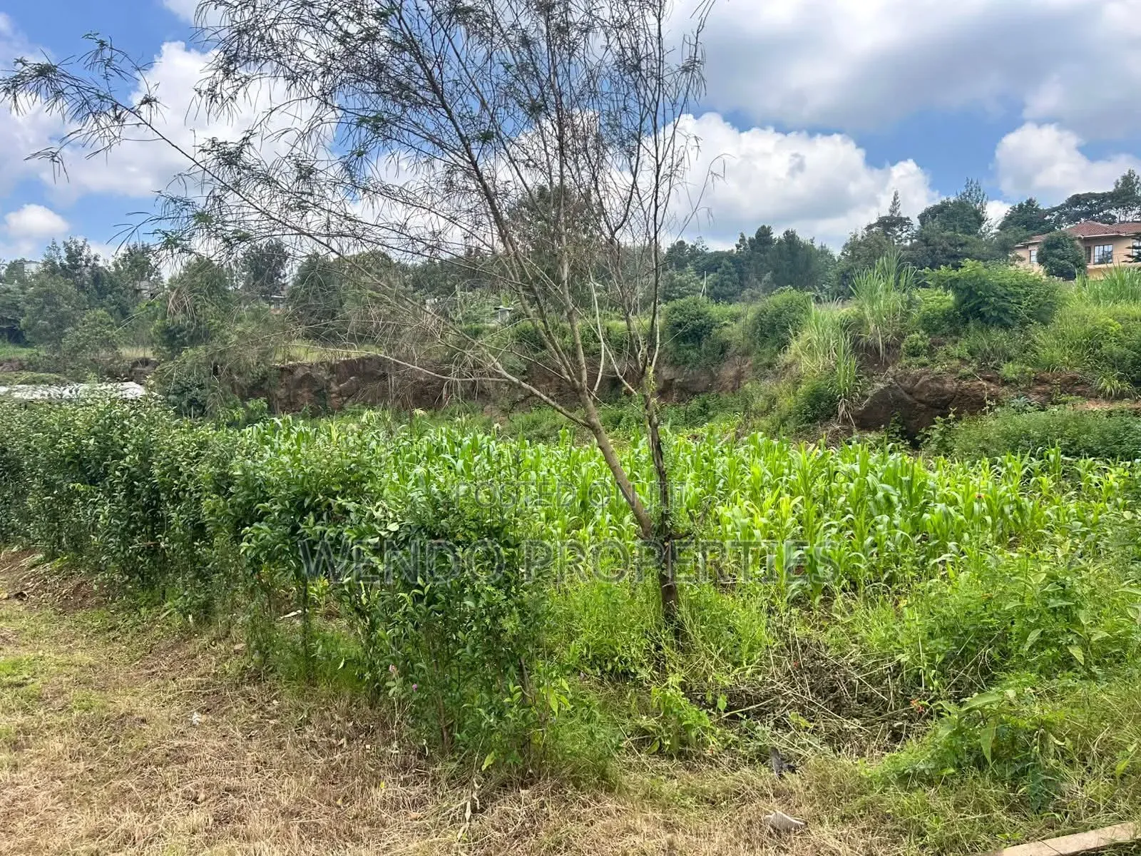 Quarter Acre for Sale in Karen