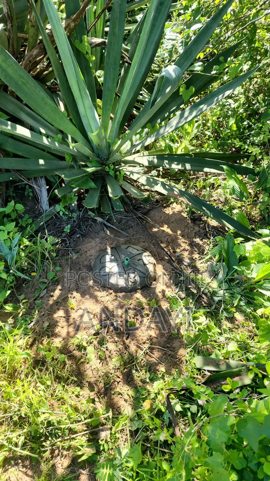 1000 Acres of Land for Sale in Malindi in Marafa