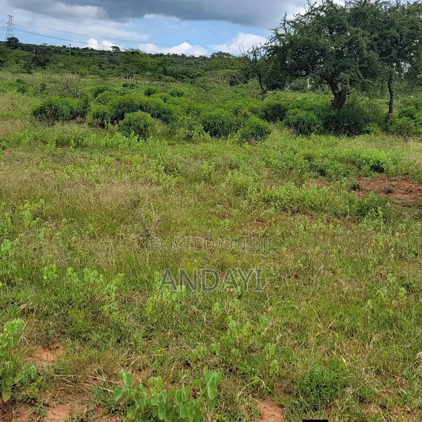 1000 Acres of Land for Sale in Malindi in Marafa