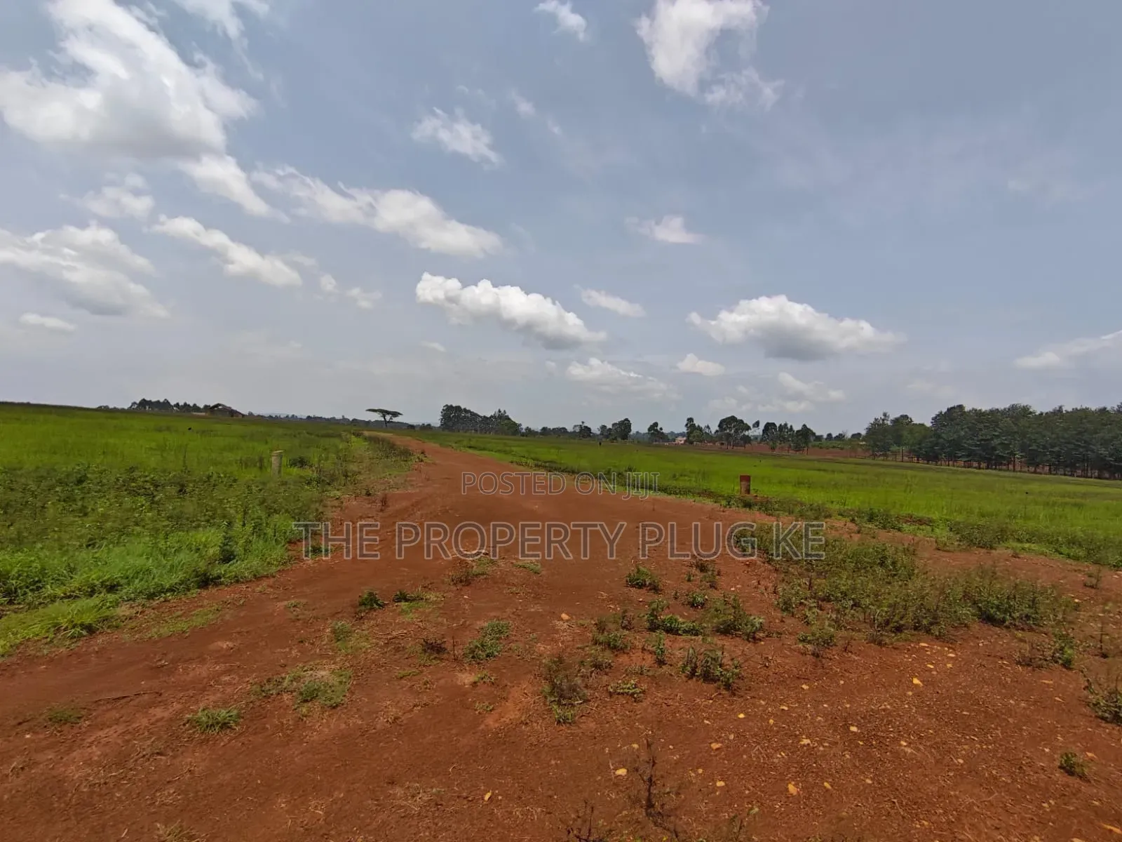 1/4 Acre Plots for Sale in Kitale in Kitale