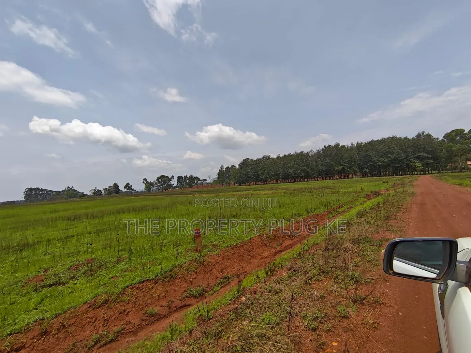 1/4 Acre Plots for Sale in Kitale in Kitale