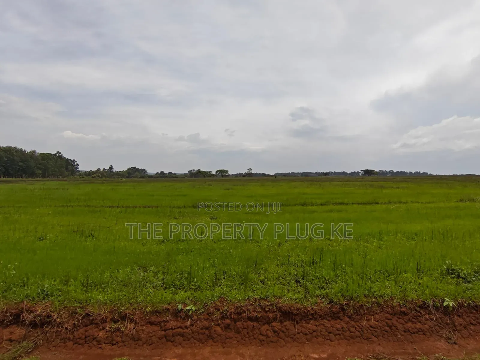 1/4 Acre Plots for Sale in Kitale in Kitale