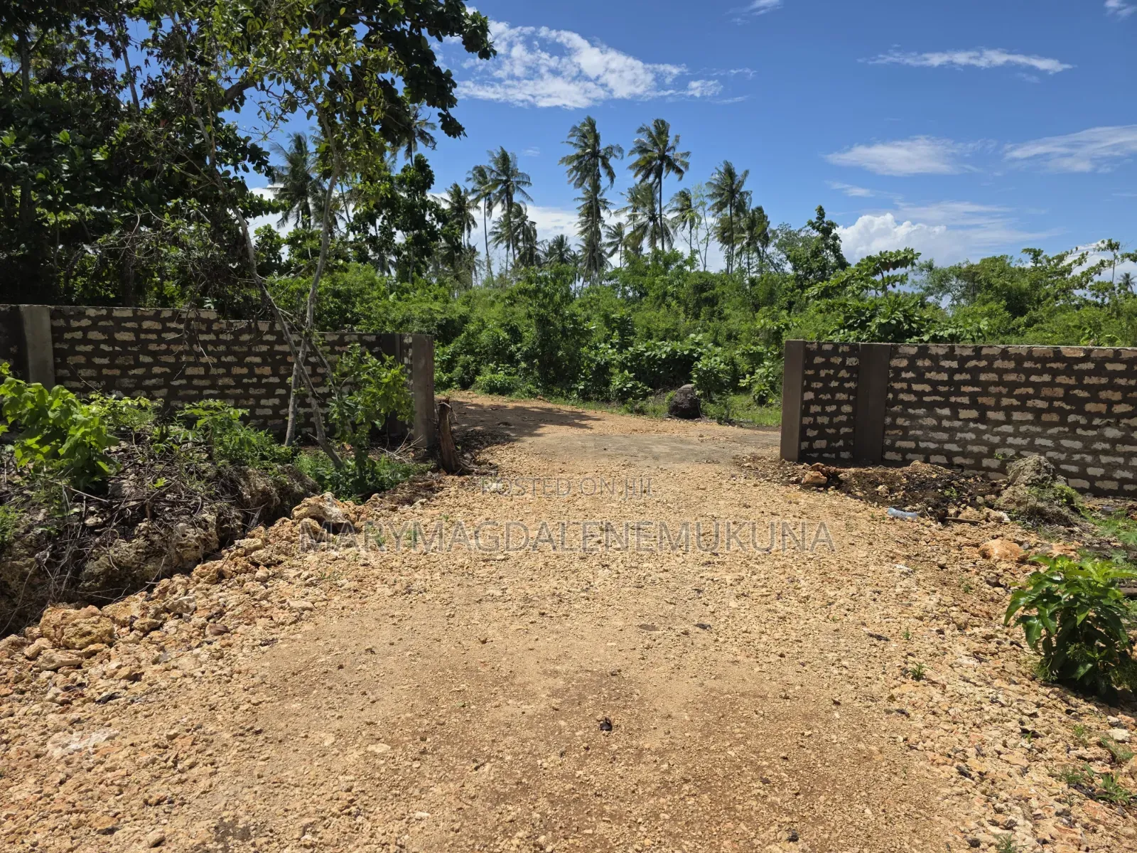 Invest In The Jewel Of Kenyan Coastline in Diani