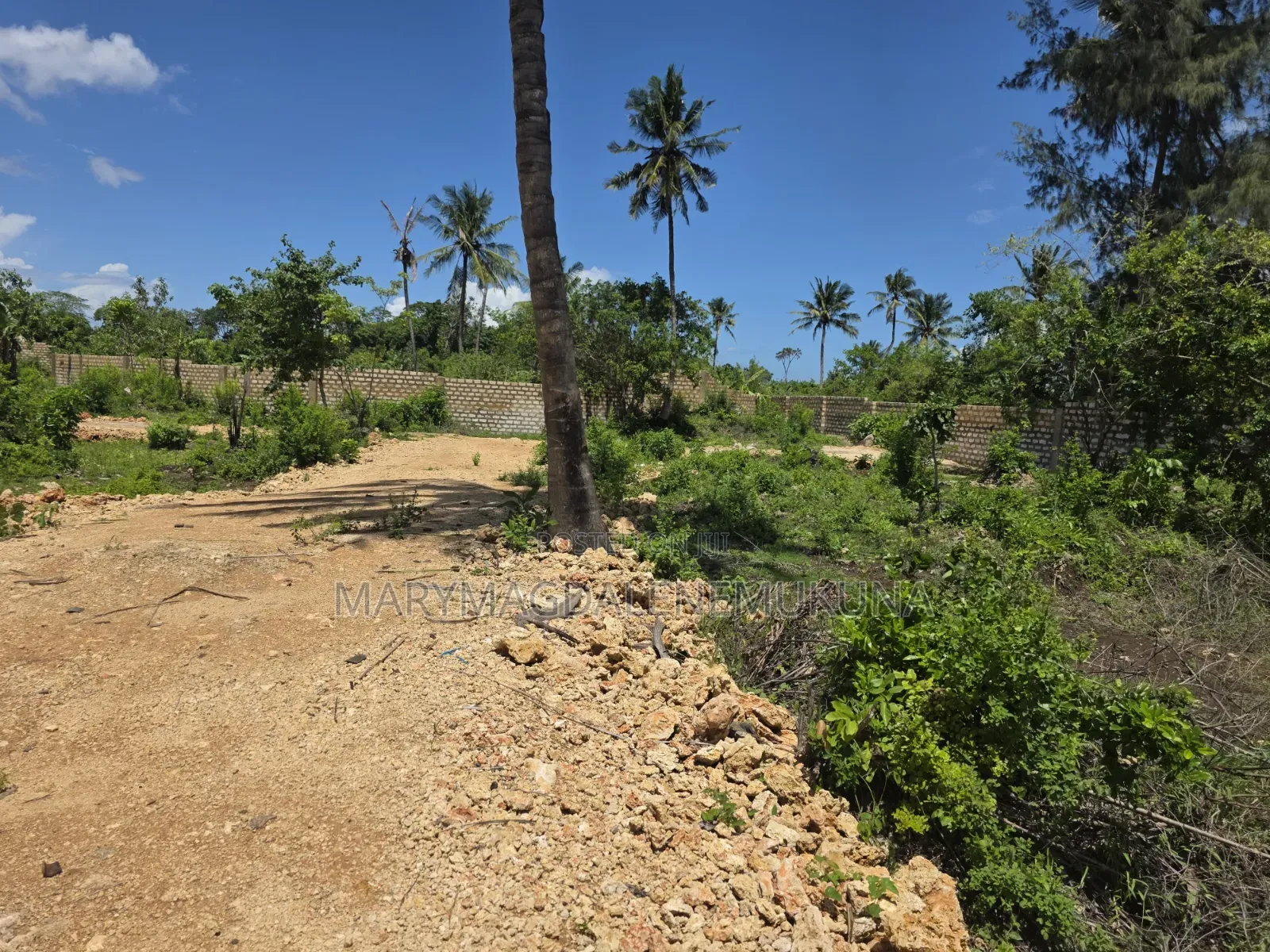 Invest In The Jewel Of Kenyan Coastline in Diani