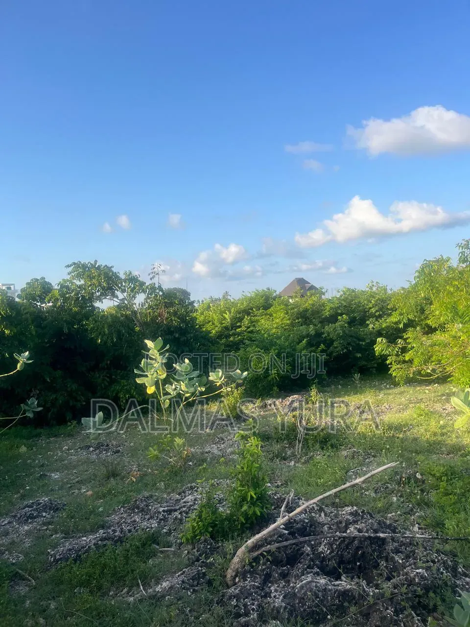 An Acre of Land in Watamu in Watamu