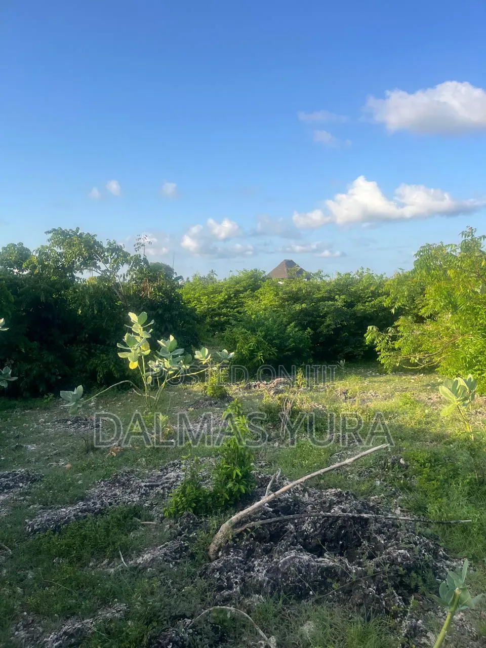 An Acre of Land in Watamu in Watamu