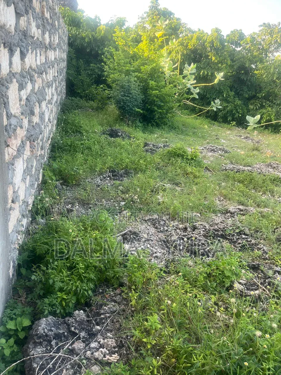 An Acre of Land in Watamu in Watamu