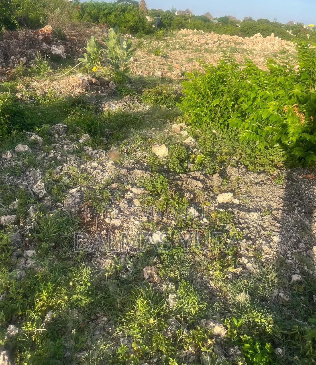 An Acre of Land in Watamu in Watamu