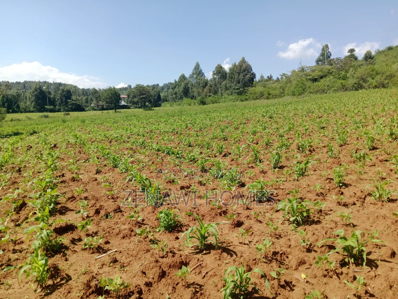 Land on Sale in Kikuyu. D.M in Thogoto