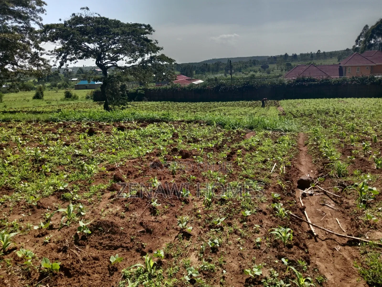 Land on Sale in Kikuyu. D.M in Thogoto