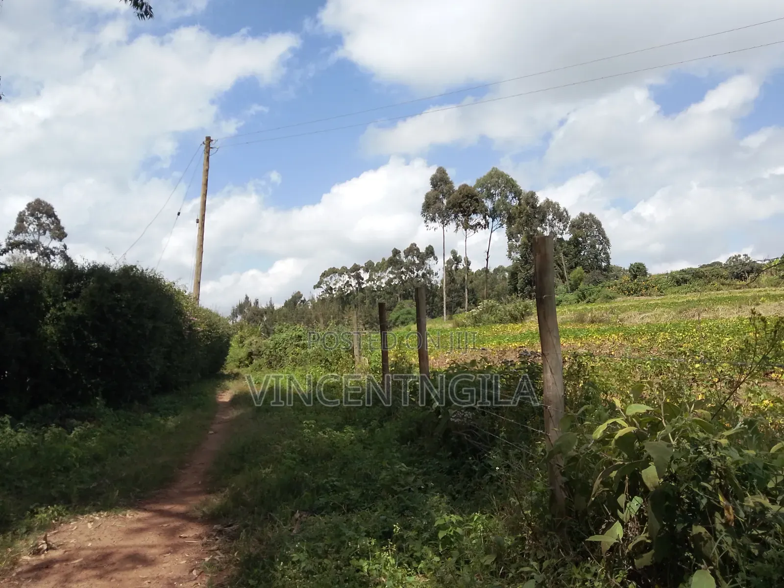 Mua Hills 5 Acres in Mua