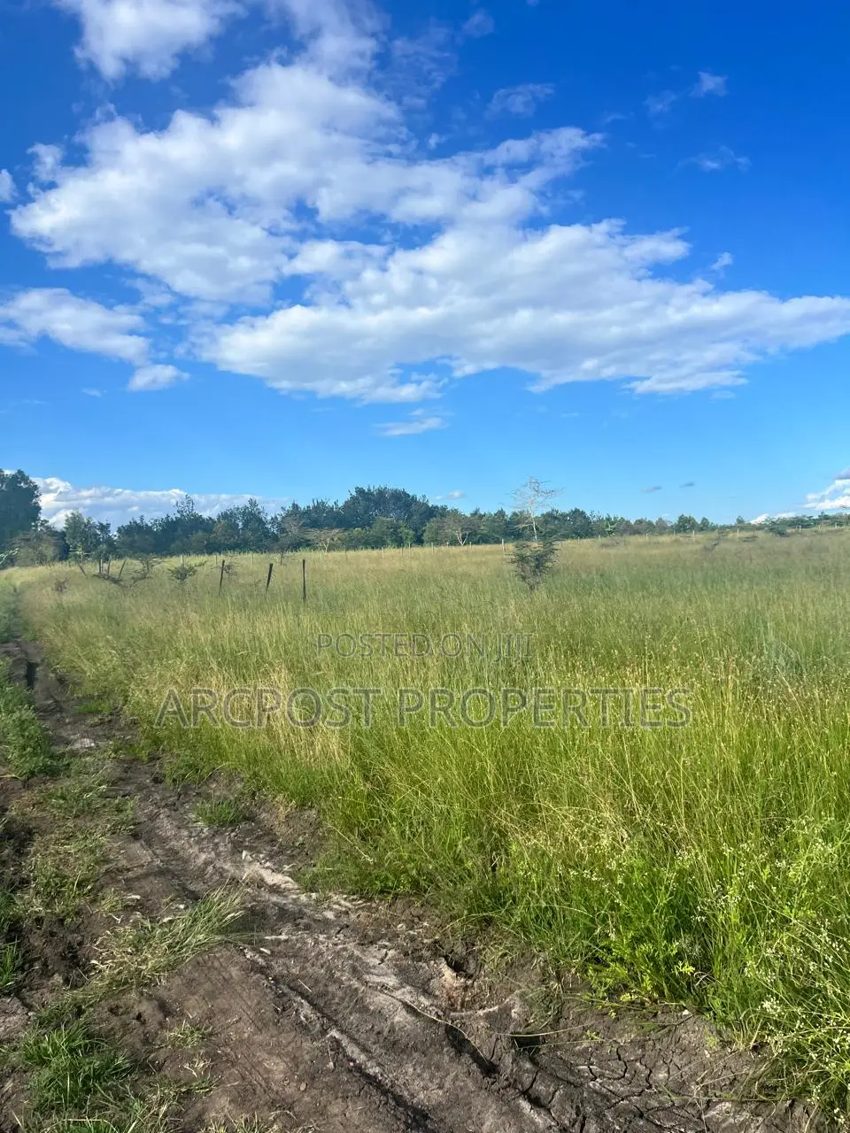 Prime 2.25 Acres Land for Sale in Joska Sunshine Distress Sale in Joska