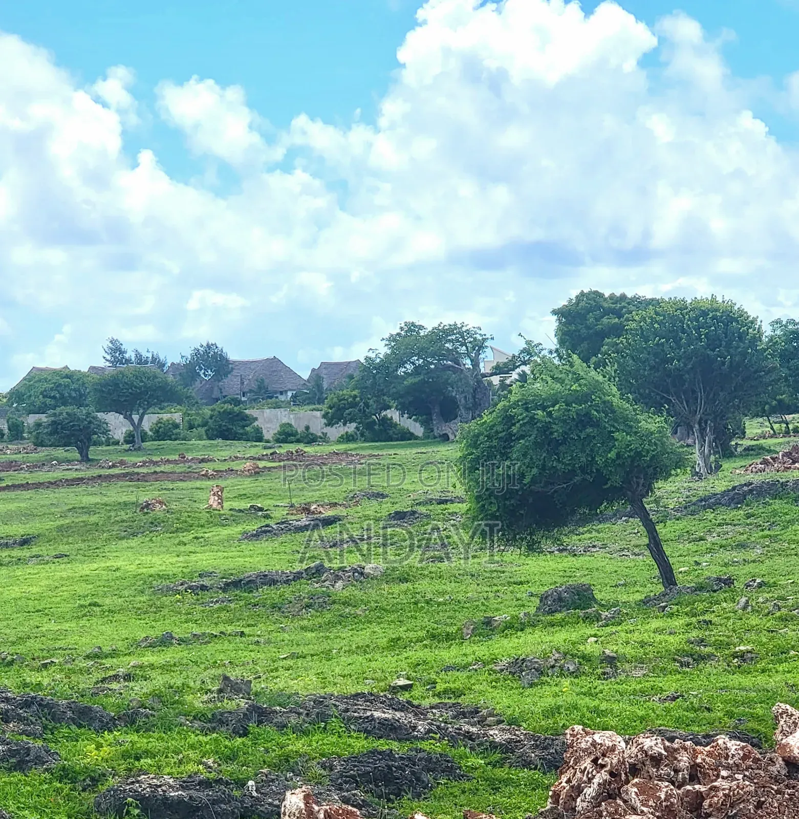 Prime Beach Plots for Sale in Malindi, Casuarina in Town Centre