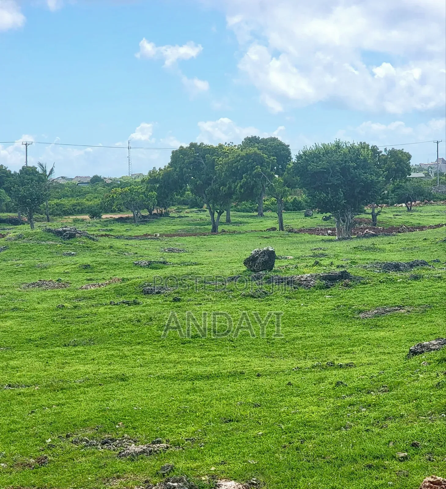 Prime Beach Plots for Sale in Malindi, Casuarina in Town Centre