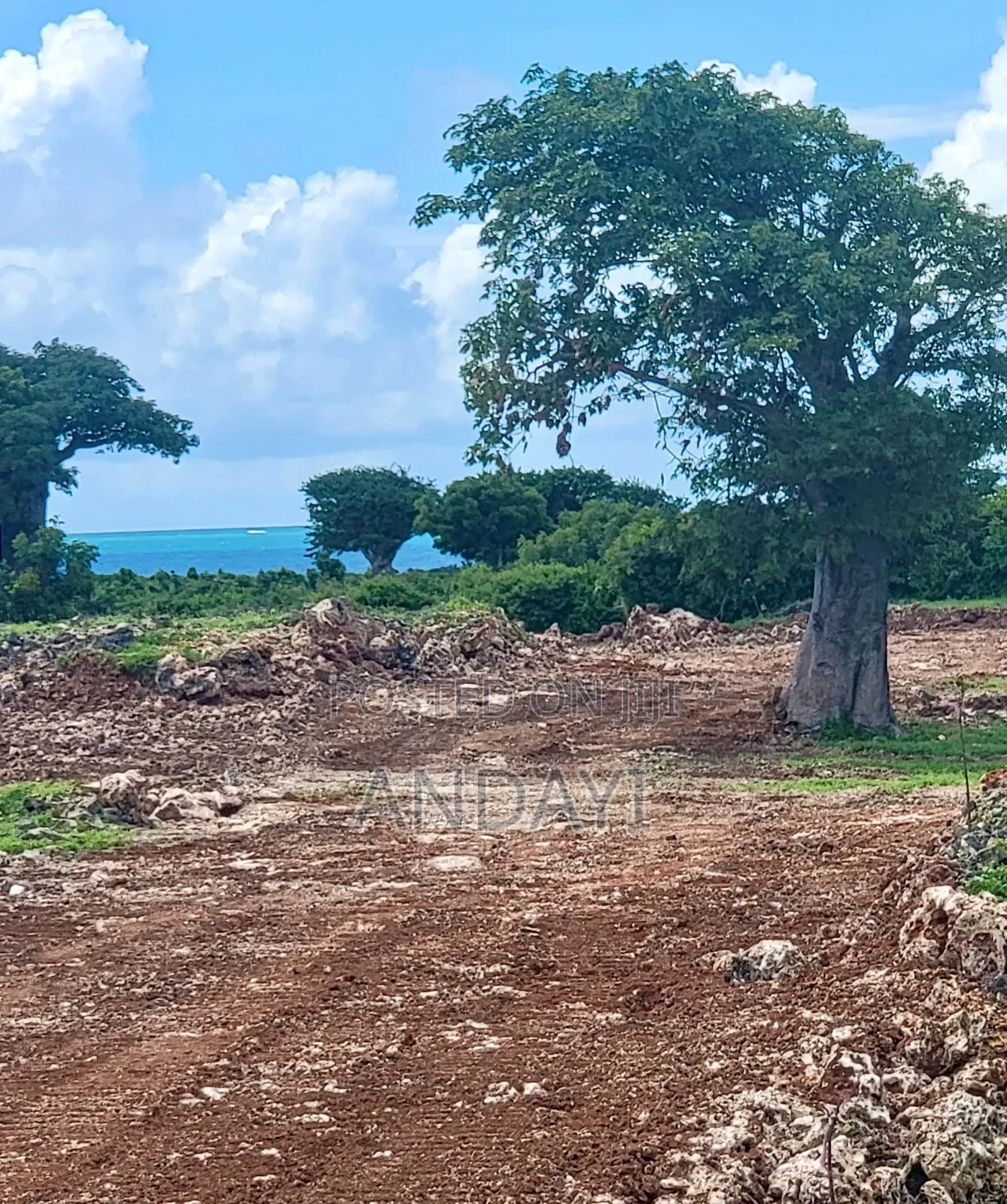 Prime Beach Plots for Sale in Malindi, Casuarina in Town Centre