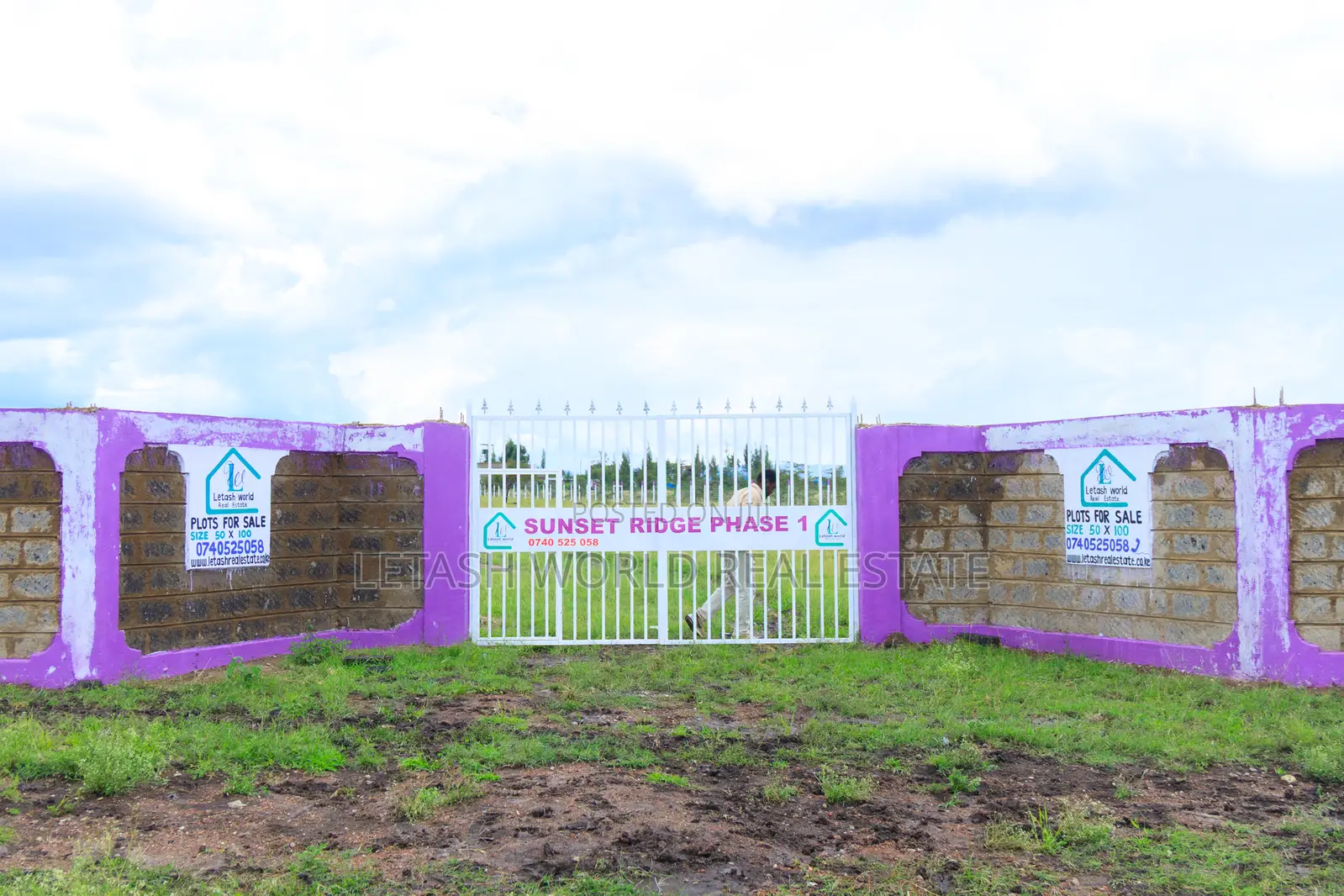 50 by 100 Prime Plots in Joskja Mutlia in Joska