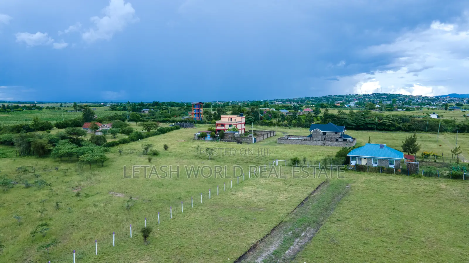 50 by 100 Prime Plots in Joskja Mutlia in Joska