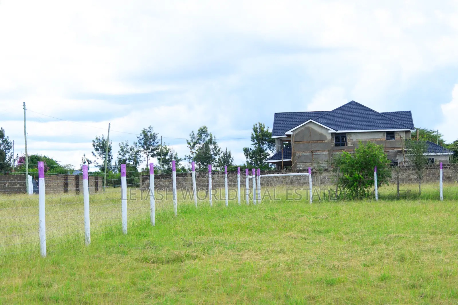 50 by 100 Prime Plots in Joskja Mutlia in Joska