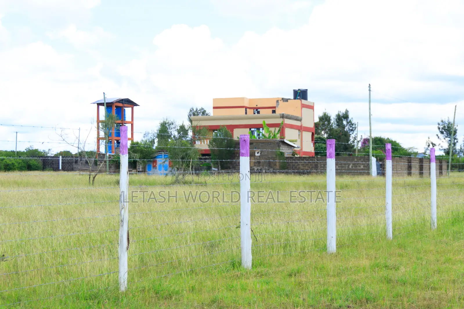 50 by 100 Prime Plots in Joskja Mutlia in Joska