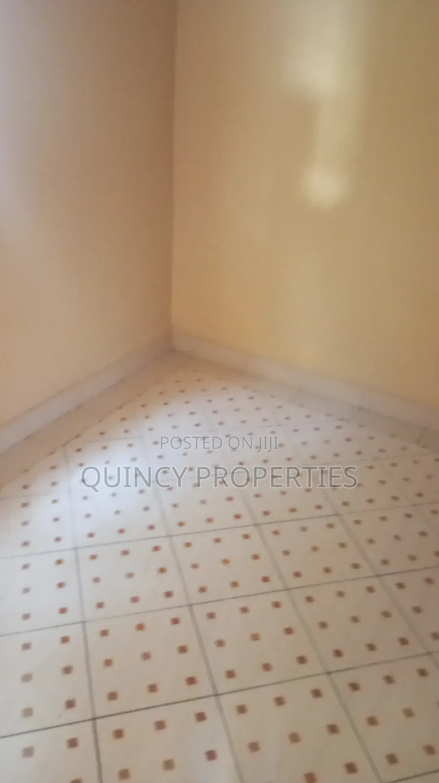 1bdrm Apartment in Rua, Ruaka for rent in Ruaka